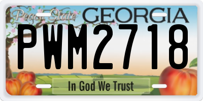 GA license plate PWM2718