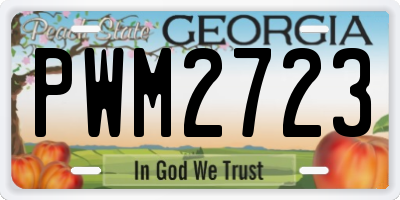 GA license plate PWM2723