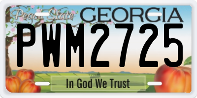 GA license plate PWM2725