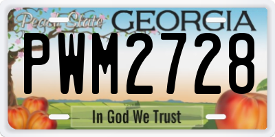 GA license plate PWM2728