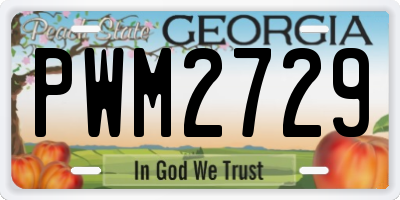 GA license plate PWM2729