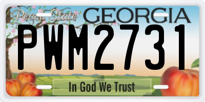 GA license plate PWM2731