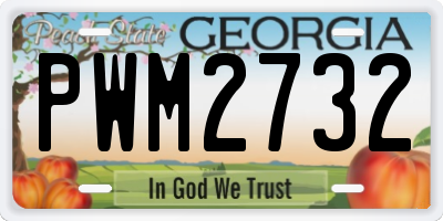 GA license plate PWM2732