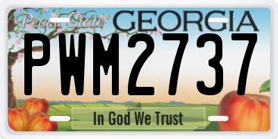 GA license plate PWM2737