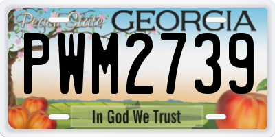 GA license plate PWM2739