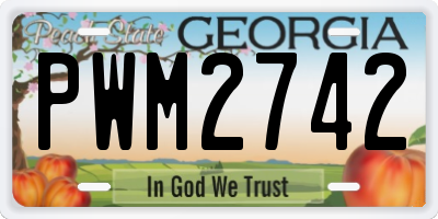 GA license plate PWM2742