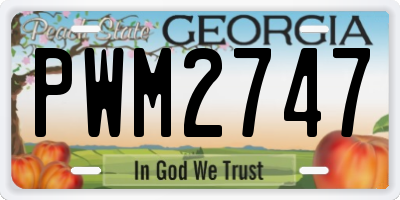 GA license plate PWM2747