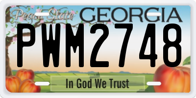 GA license plate PWM2748