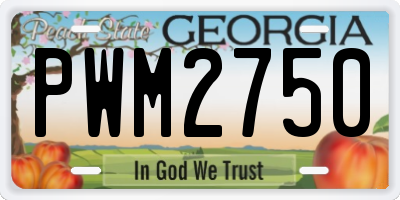 GA license plate PWM2750