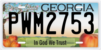 GA license plate PWM2753
