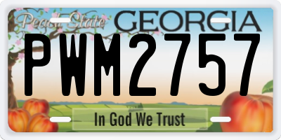 GA license plate PWM2757