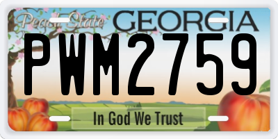 GA license plate PWM2759