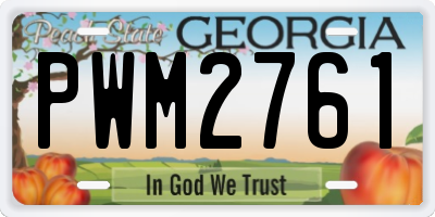 GA license plate PWM2761
