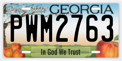 GA license plate PWM2763