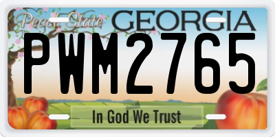 GA license plate PWM2765