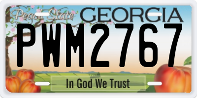 GA license plate PWM2767
