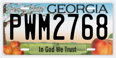GA license plate PWM2768
