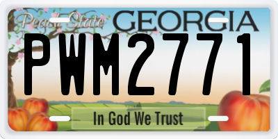 GA license plate PWM2771