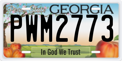 GA license plate PWM2773