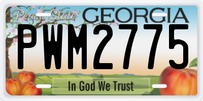 GA license plate PWM2775
