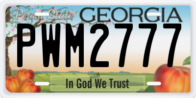 GA license plate PWM2777