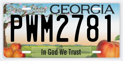 GA license plate PWM2781