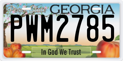 GA license plate PWM2785