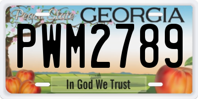 GA license plate PWM2789