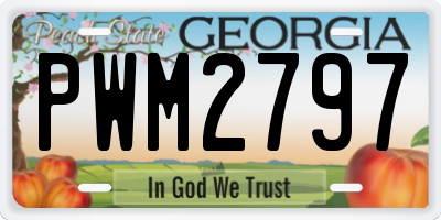 GA license plate PWM2797