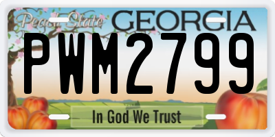GA license plate PWM2799