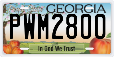GA license plate PWM2800
