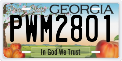 GA license plate PWM2801