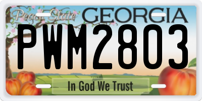 GA license plate PWM2803