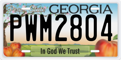 GA license plate PWM2804