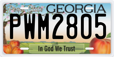 GA license plate PWM2805