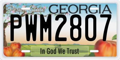 GA license plate PWM2807
