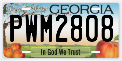 GA license plate PWM2808
