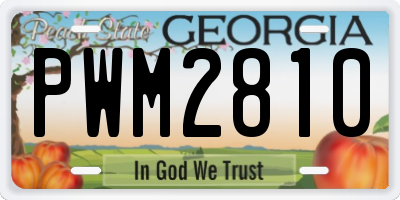 GA license plate PWM2810
