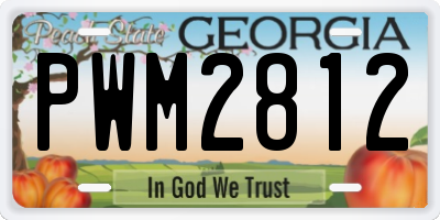 GA license plate PWM2812