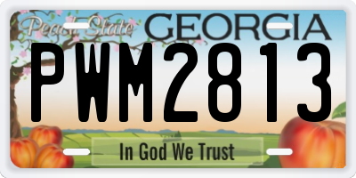 GA license plate PWM2813