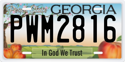 GA license plate PWM2816
