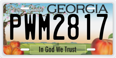 GA license plate PWM2817