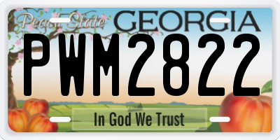 GA license plate PWM2822