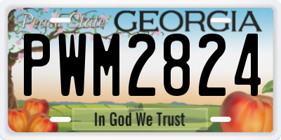 GA license plate PWM2824