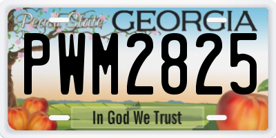 GA license plate PWM2825