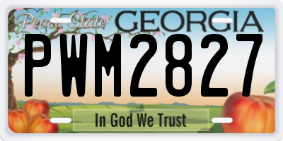 GA license plate PWM2827