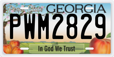 GA license plate PWM2829