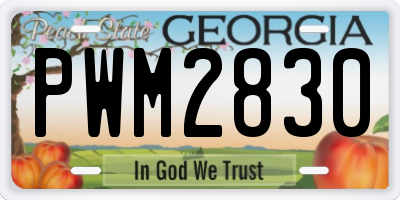 GA license plate PWM2830