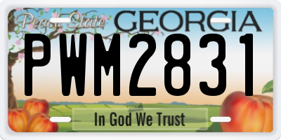 GA license plate PWM2831