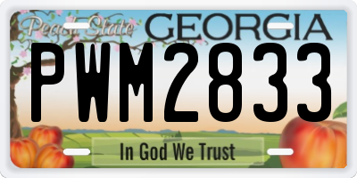 GA license plate PWM2833